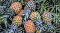 Pineapple Juice